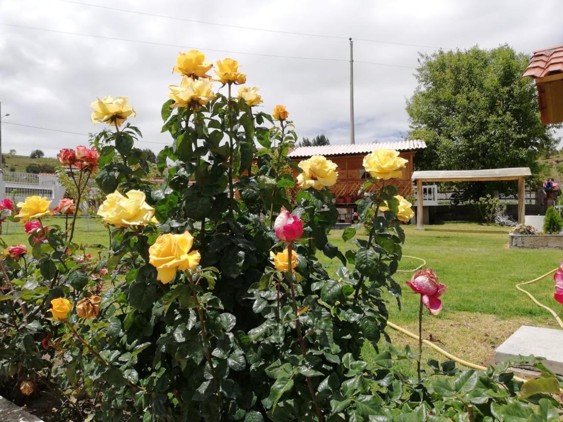 Quinta Spa El Rosal アンバート エクステリア 写真